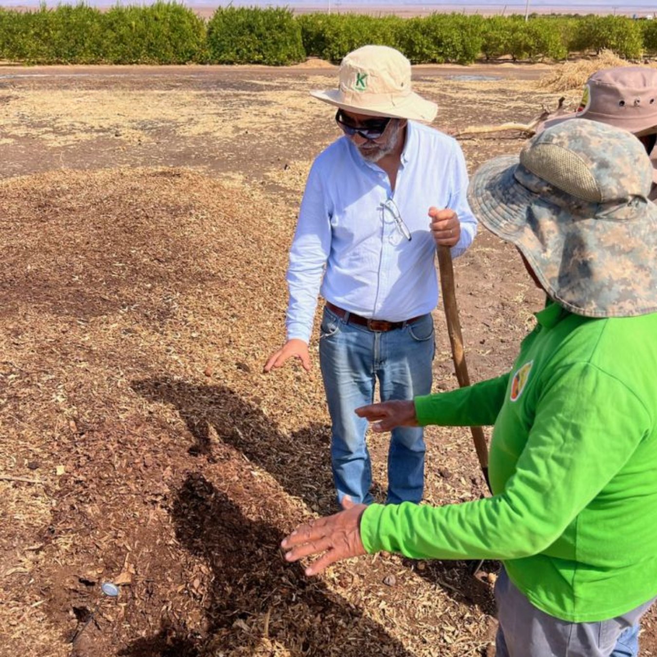 Equipo del Consorcio del Desierto revisando compost en terreno